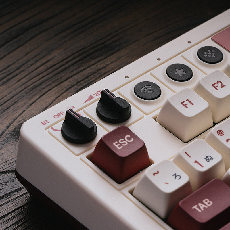 8BitDo Retro Mechanical Keyboard - Desktop Keyboard Collection for Everyday Use