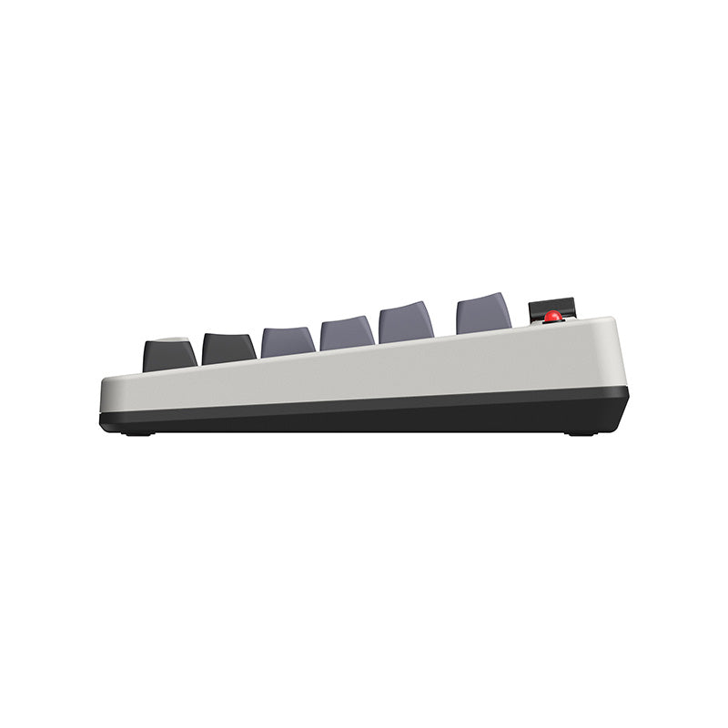 8BitDo Retro Mechanical Keyboard - Desktop Keyboard Collection for Everyday Use